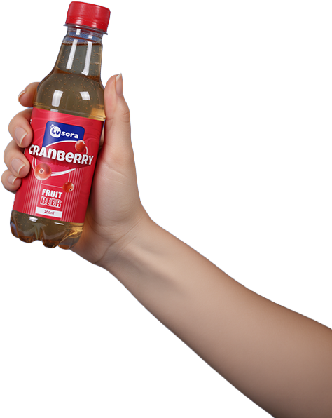 Cranberry Fruit Beer