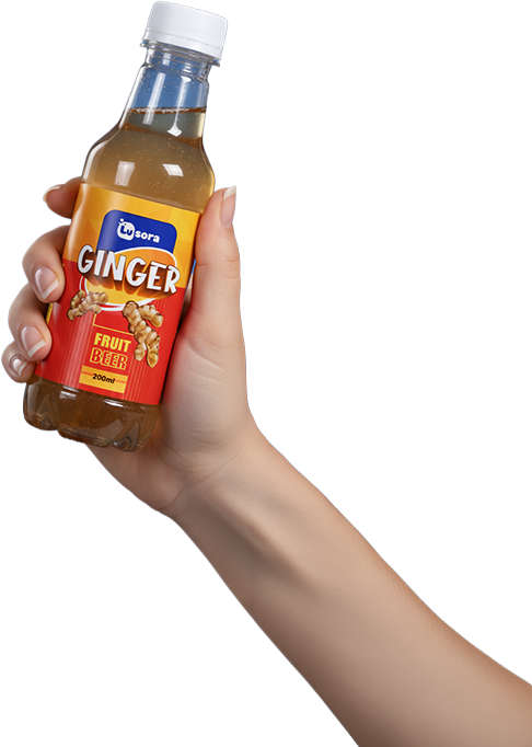Ginger Fruit Beer