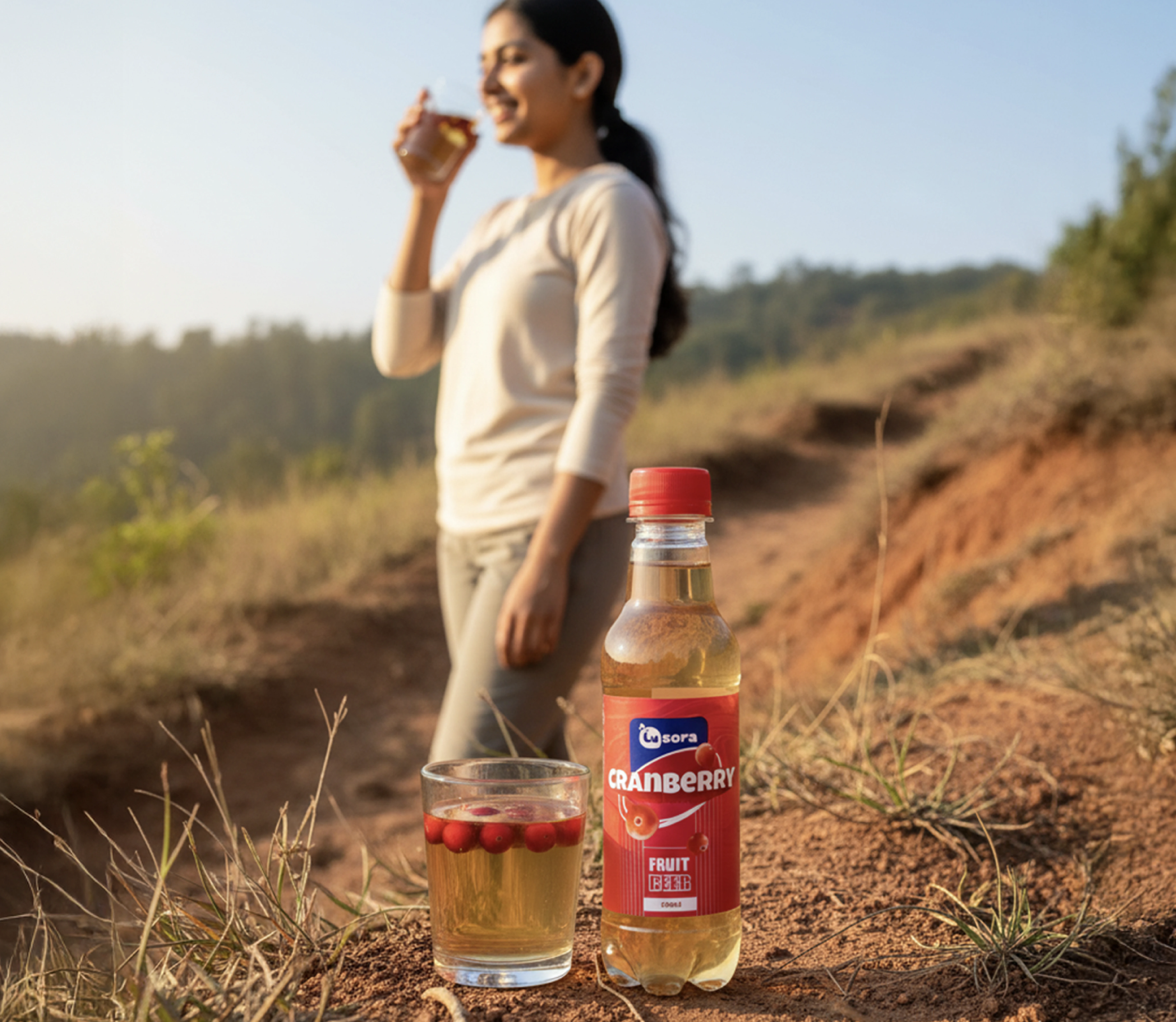 Cranberry Fruit Beer